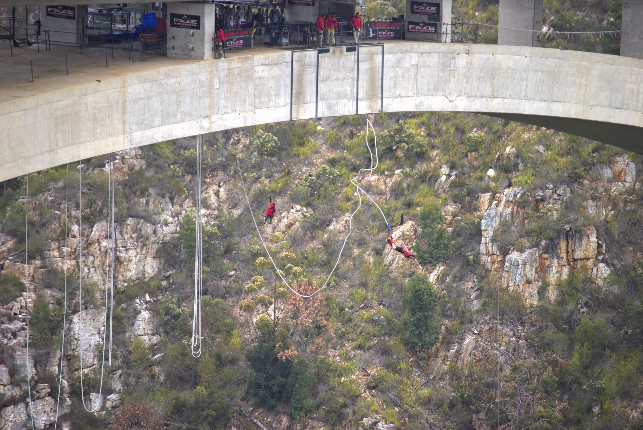 Bloukrans Bungy - von einem nahe gelegenen Lokal hat man einen guten Blick auf die Brücke. Im Restaurant befindet sich ein Fernseher, auf dem die Sprünge live übertragen werden.